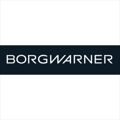 BORGWARNER