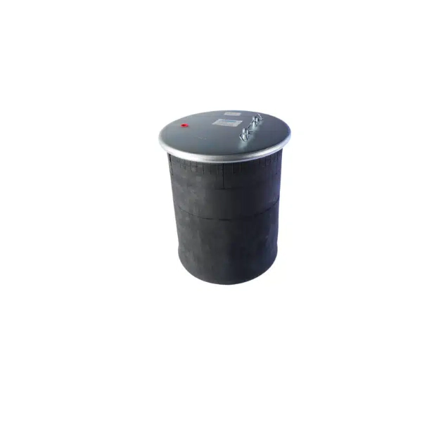 PULMON SUSPENSION DEL/TRAS.