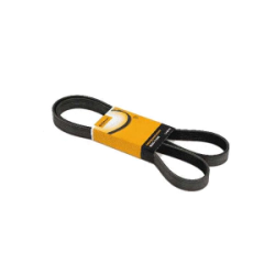 CORREA DE MOTOR 8PK1800